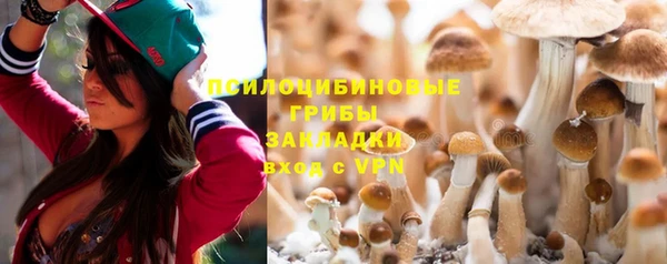 индика Арсеньев