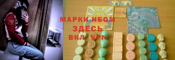 индика Арсеньев