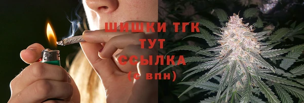 индика Арсеньев