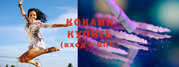 индика Арсеньев