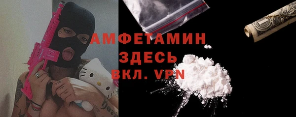 индика Арсеньев