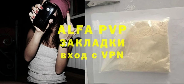 индика Арсеньев