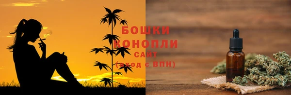 индика Арсеньев