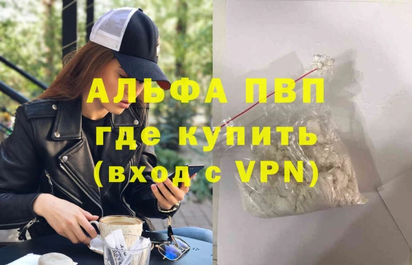 индика Арсеньев