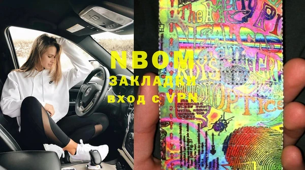индика Арсеньев