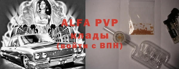 индика Арсеньев