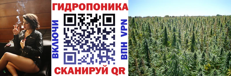 OMG ССЫЛКА  Полесск  Канабис MAZAR 